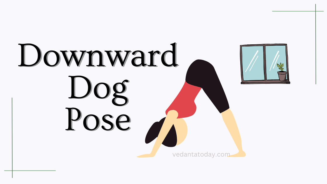 Downward Dog Pose Yoga Guide