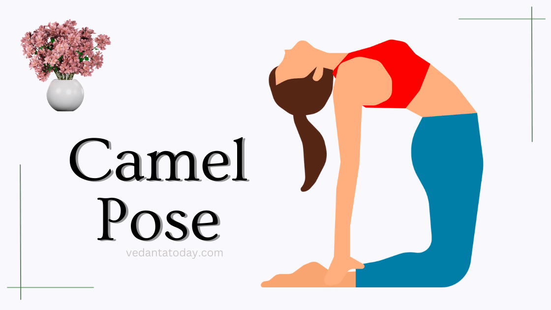 Camel Pose Yoga Guide